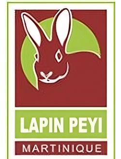 logo lapin payi