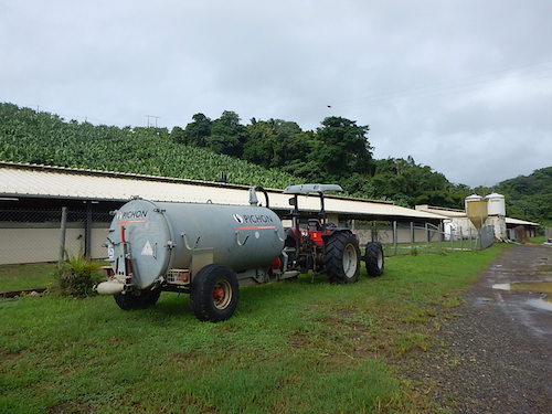 Ferme de lait Le Lamentin